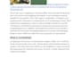 write engaging lifestyle blogs, personal stories and tips